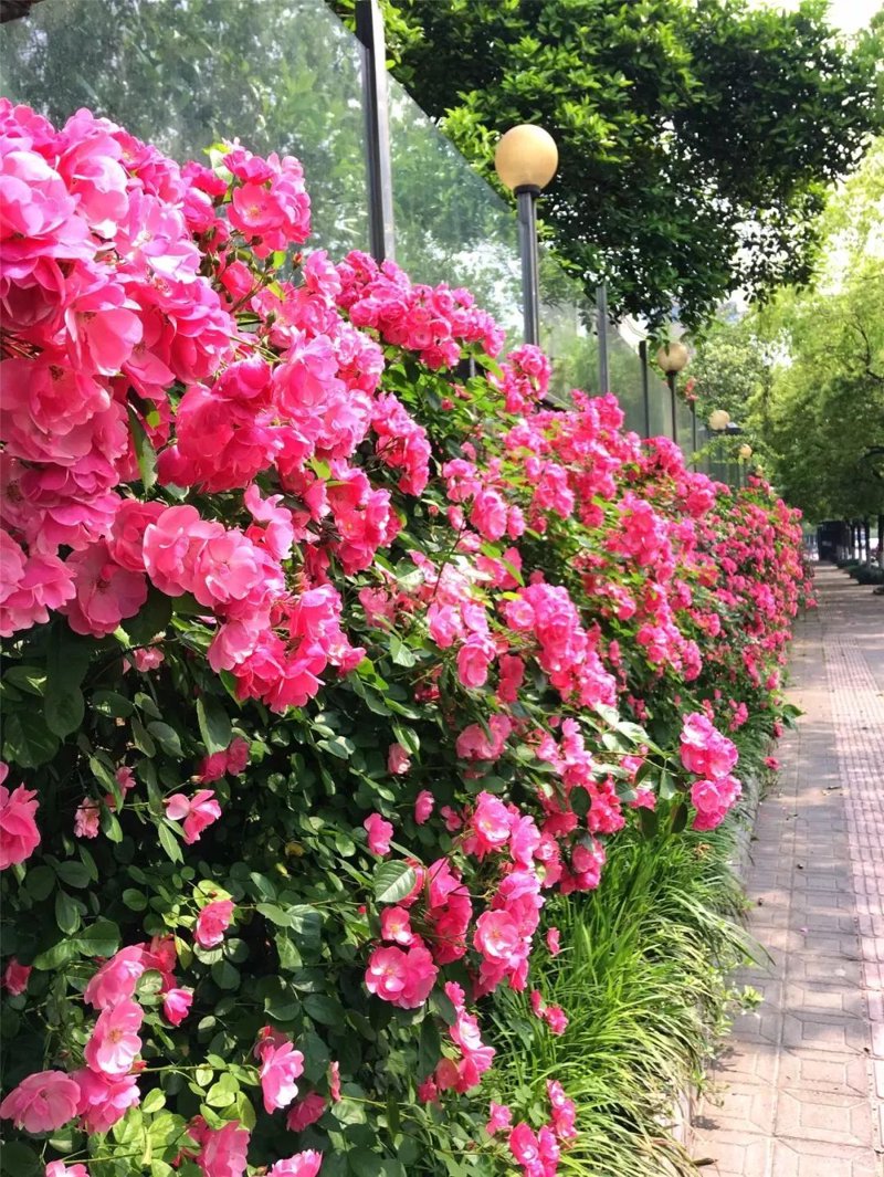电子商务的未来:你所不知道的学习内容