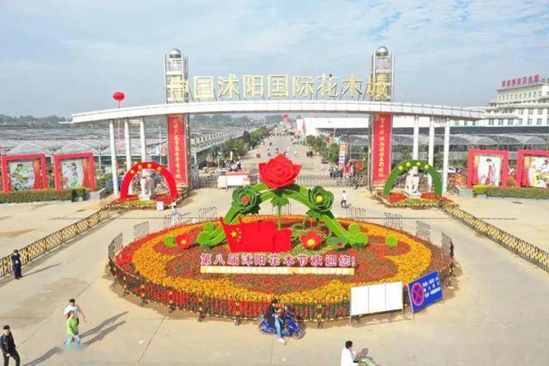 满城花店的电话号码是什么？如何找到最新的联系方式？