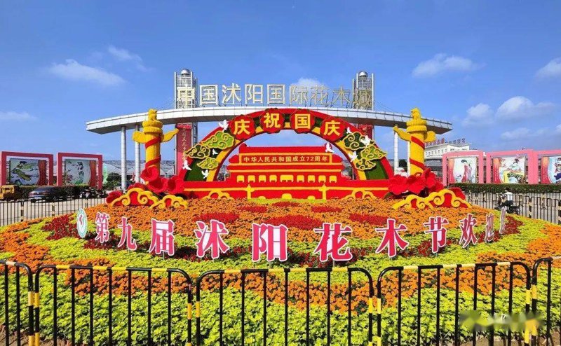 电子商务究竟是什么？在数字化时代，它已经成为了我们生活中不可或缺的一部分。