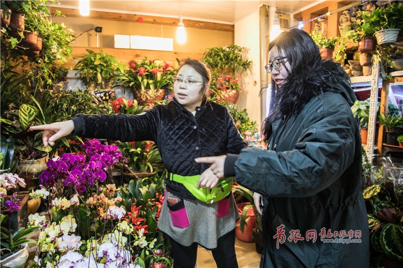 满城花开，一曲温暖人心的原唱
